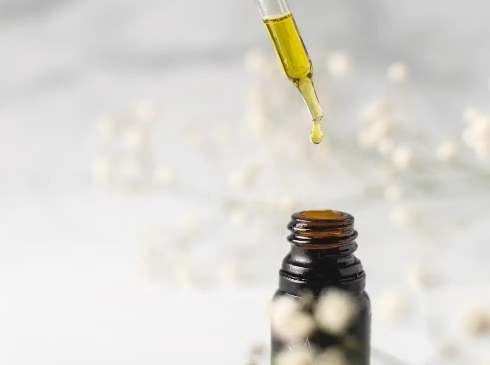 A Beginner's CBD Hemp Guide: Embarking on a Journey of Wellness