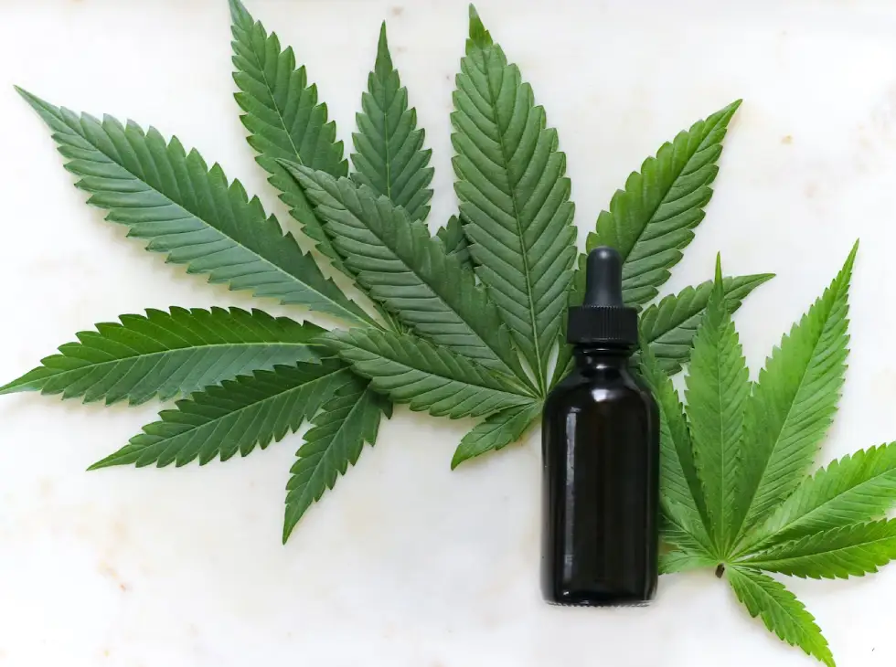 Hemp Oil for Acne Treatment