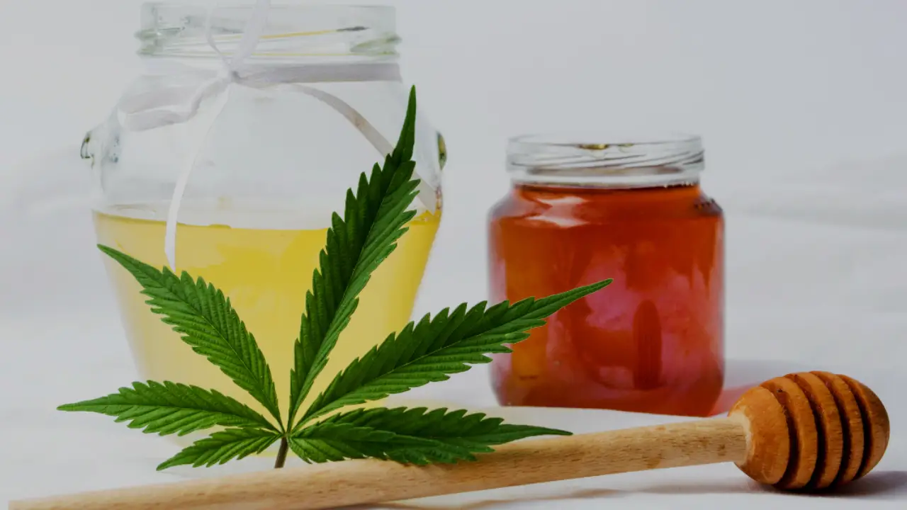 The Best CBD Honey Sticks and Infused Honey