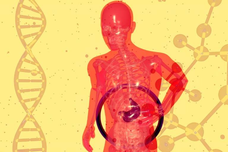 CBD and Gut Health